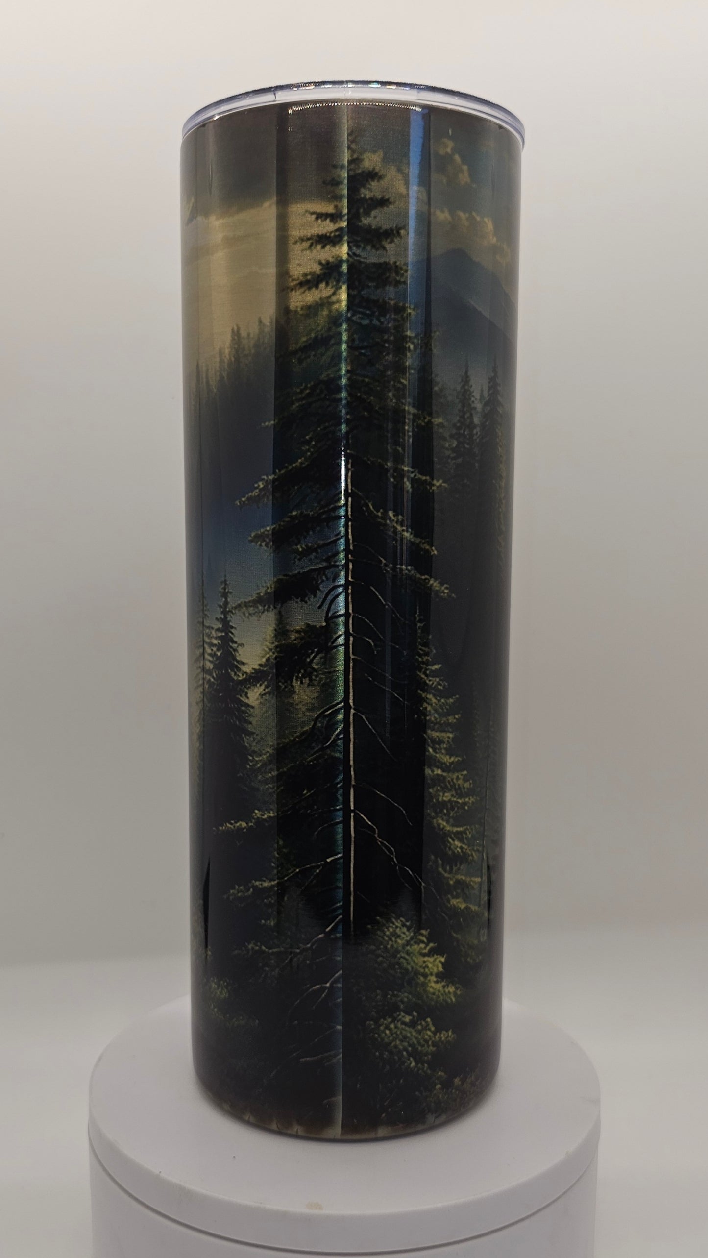 Mountain Valley Scenic 20oz Tumbler