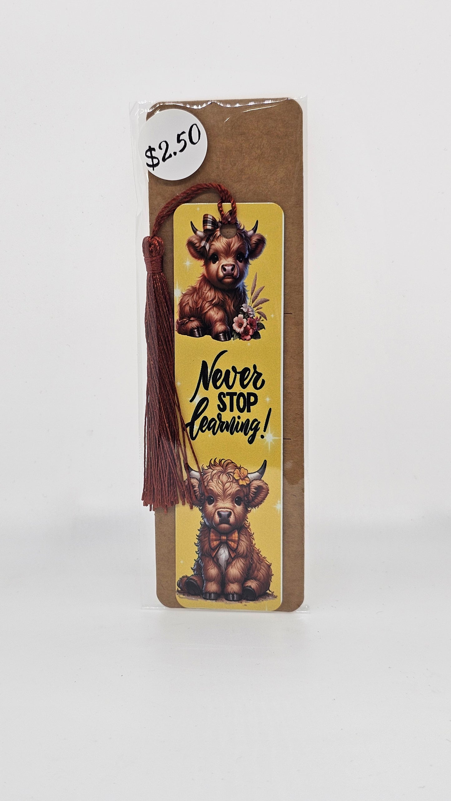 Never Stop Learning Bookmark