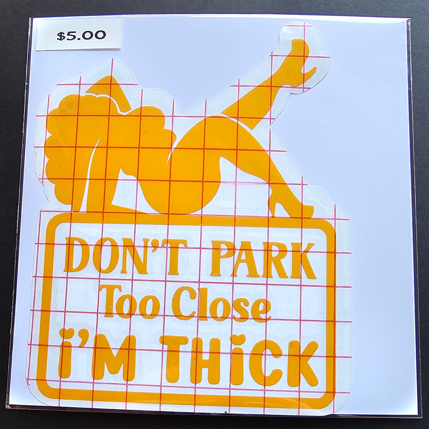 Don't Park Too Close I'm Thick Decal