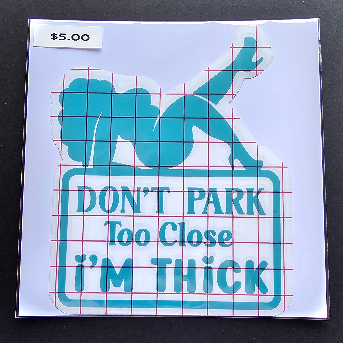 Don't Park Too Close I'm Thick Decal